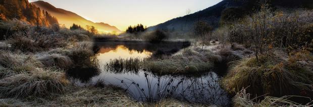 Zelenci Image