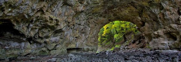 Rakov Škocjan, Škocjan Caves Image