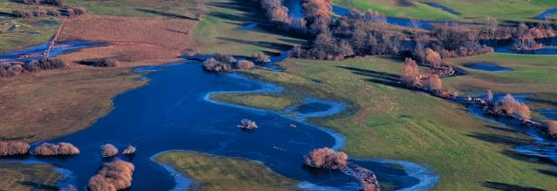 Planina plain Image