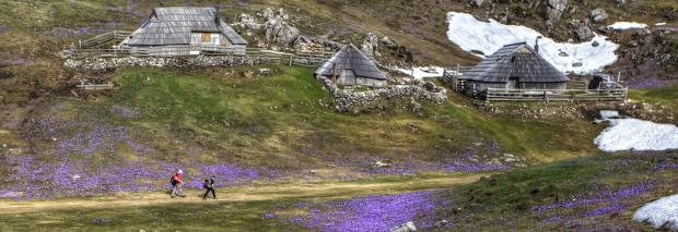Velika planina Image